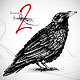 hand drawn raven illustration isolated