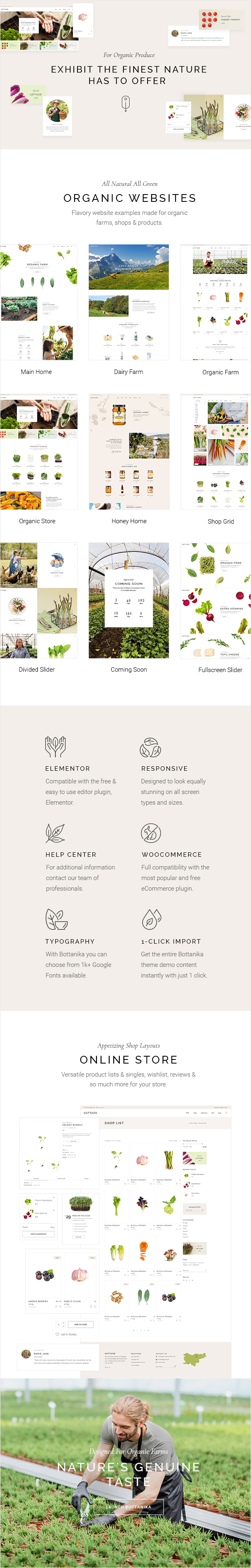 Bottanika - Organic Food Store WordPress Theme - 2