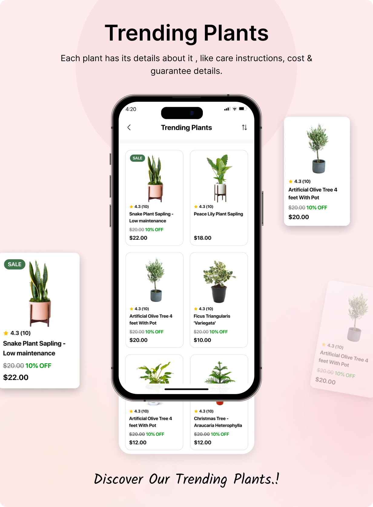 Seed2Plants App - Online Plant Store Flutter 3.x (Android, iOS) WooCommerce Full App | Shopping App - 12