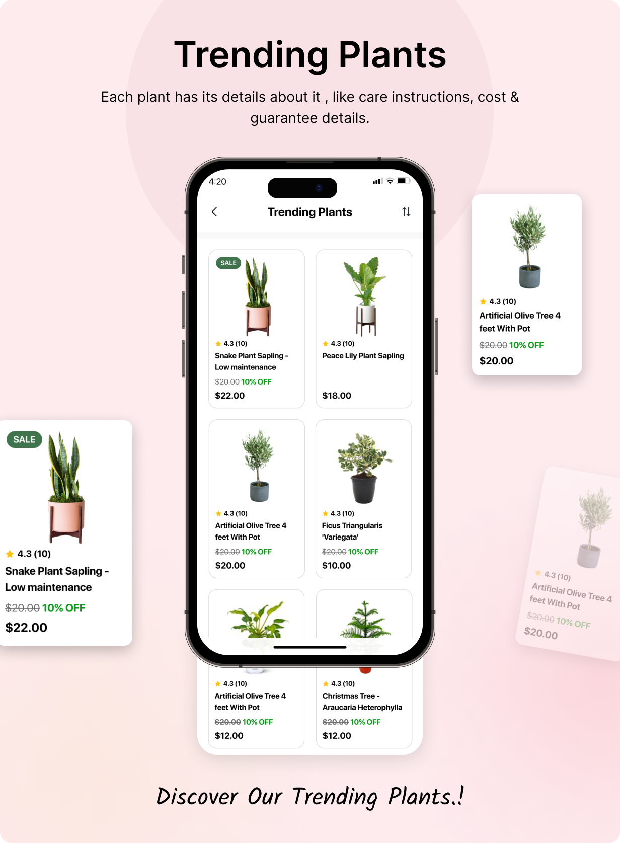 Seed2Plants App - Online Plant Store Flutter 3.x (Android, iOS) WooCommerce Full App | Shopping App - 13