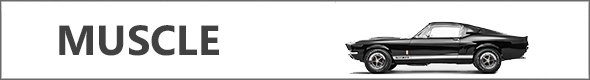 muscle.jpg