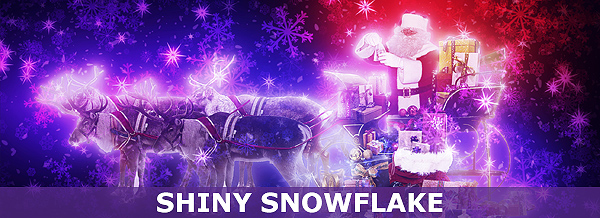 shiny-snowflake-banner