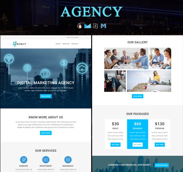 Bonus Email Template 03