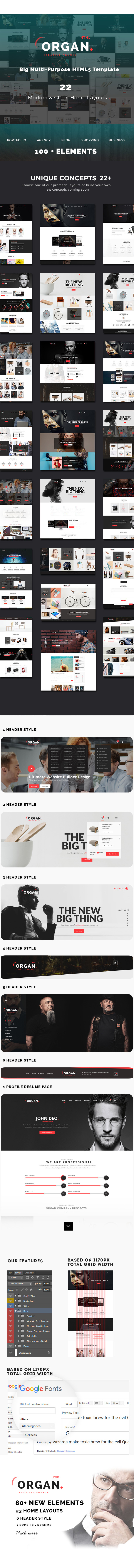 Organ - Creative Multi-Purpose Business, Finance HTML5 Responsive Website Template - 1