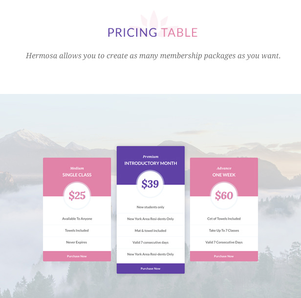 Hermosa - Health Beauty and Yoga WordPress Theme