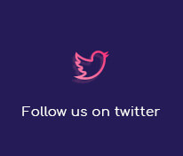 Crypto ICO twitter