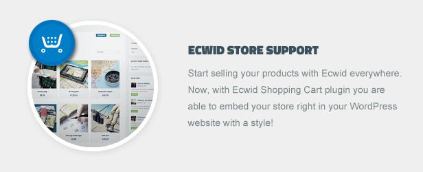 Ecwid Store Support