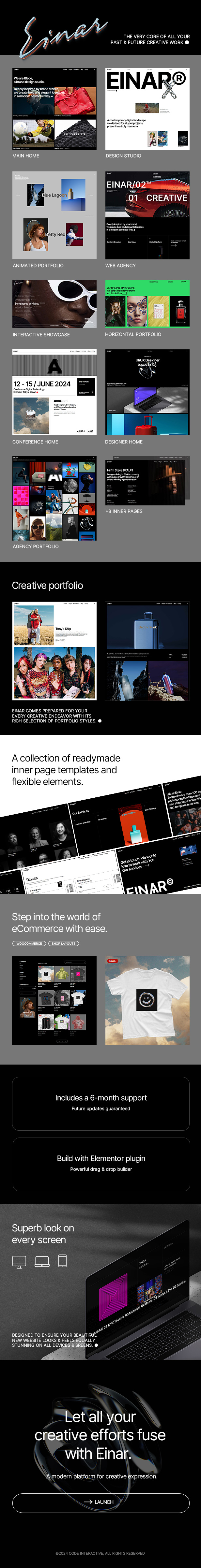 Einar - Design Agency WordPress Theme - 1