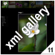 ADVANCED XML IMAGE GALLERY_v11