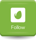 Follow Us At Envato