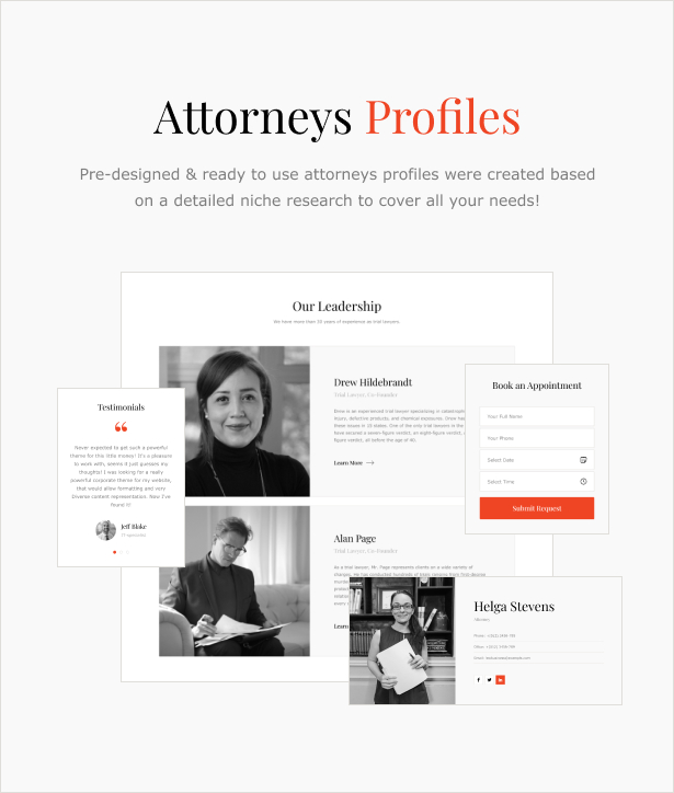 Professional Theme