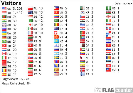 Flag Counter