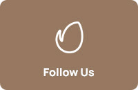 Almaris - Hotel Booking WordPress Theme
