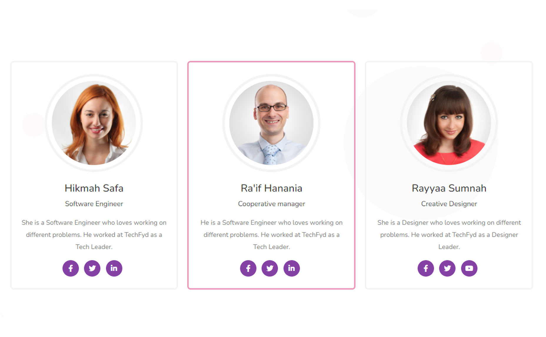 Sky Addons Team Member Widget Screenshots-4