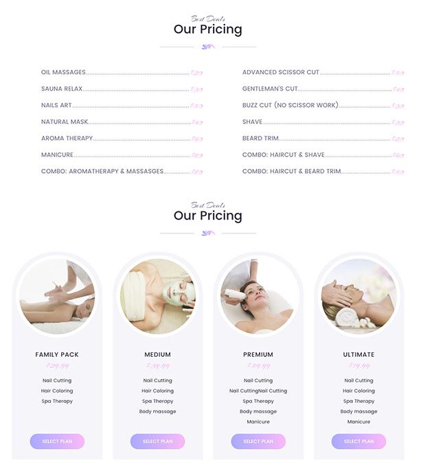 Paradise - Multipurpose Spa & Beauty WordPress Theme - 4