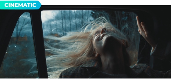 620 Cinematic Color Presets, 15 VHS Video Effects, Old Film Looks - 10