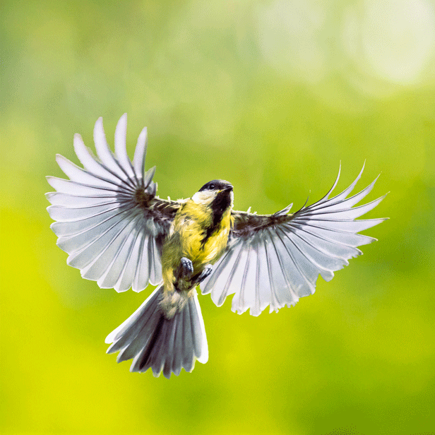 3D Parallax Animated Photoshop Actions - 5