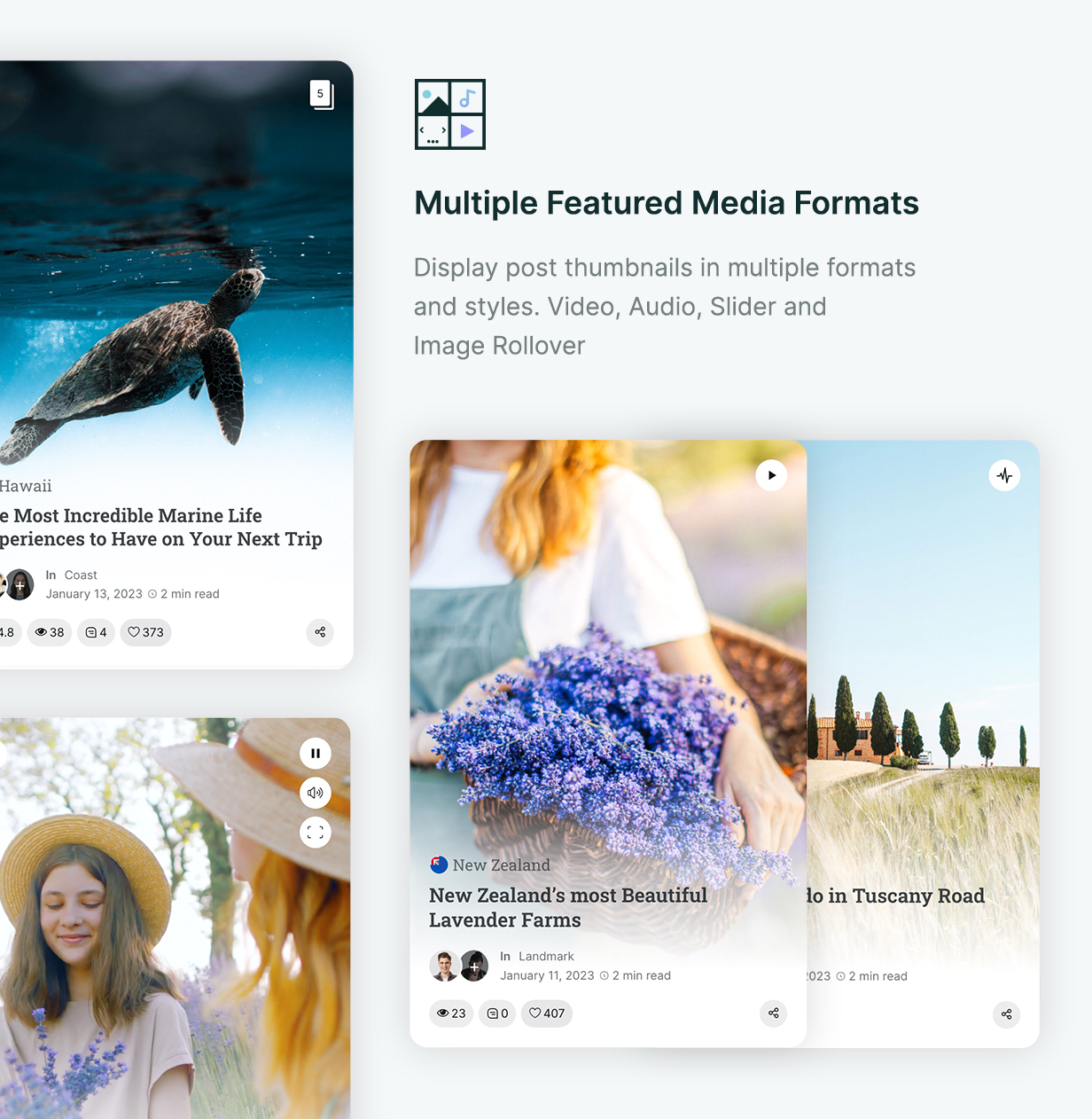 Tripp - Multiple Featured Media Formats