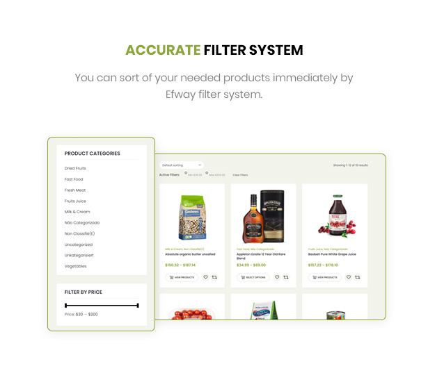 Efway WordPress Theme Powerful Filtering