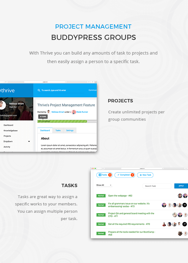 Site Rapidshare Busca