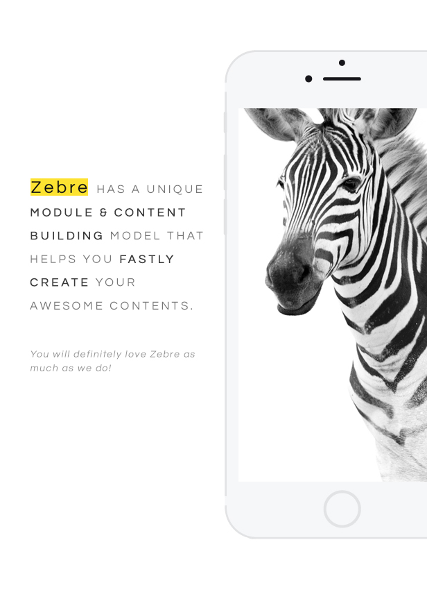 Zebre Freelancer Agency Portfolio Minimal Wp Theme By Thememove