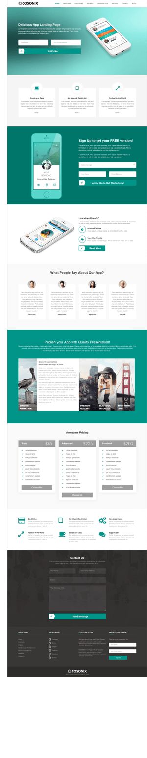 Cosonix - One-Page Theme for eBook, App and Agency - 2