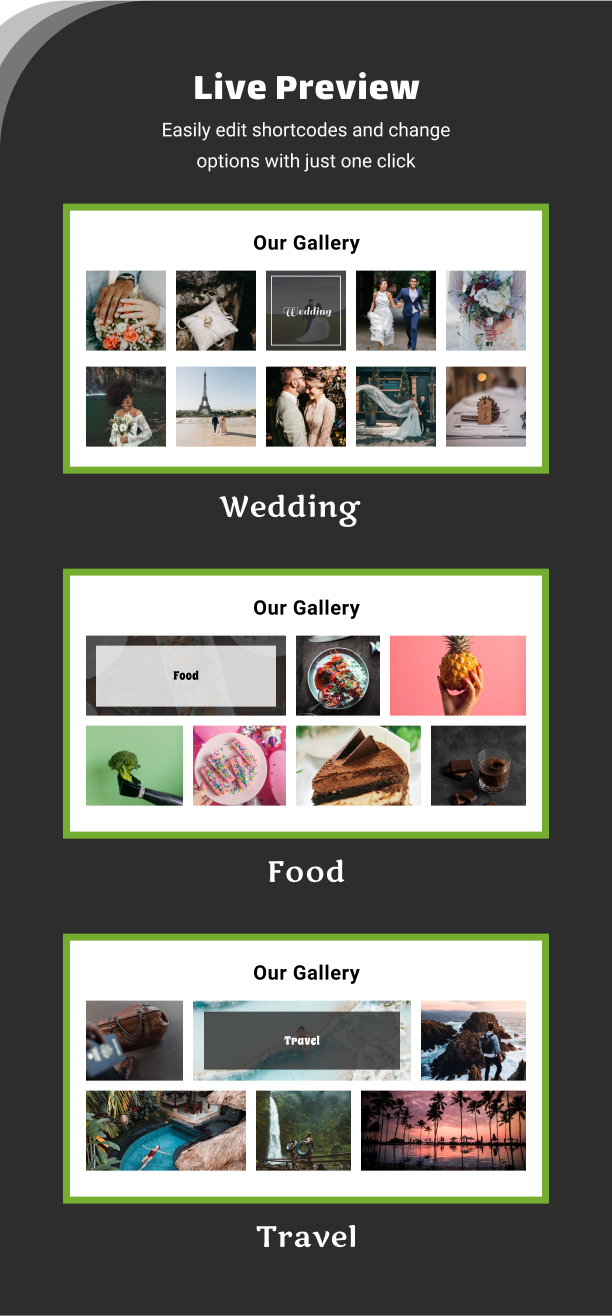Live Preview - Gallery Showcase Pro for WordPress