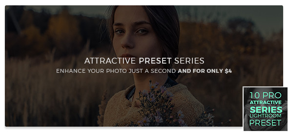 The Visual Artist Night Color Preset Series - 42