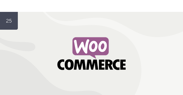 Hệ thống đặt chỗ đậu xe cho WordPress - 24