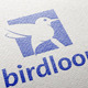 Birdloop - GraphicRiver Item for Sale