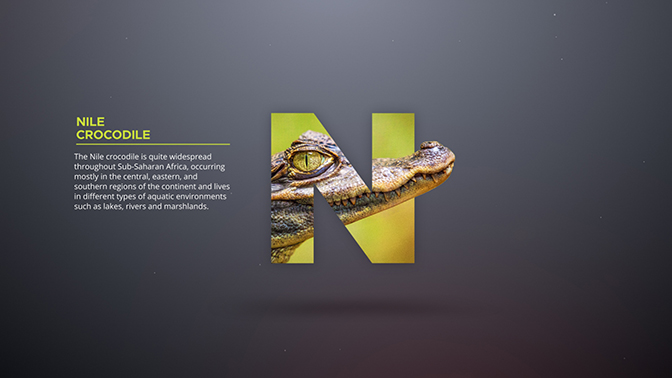 Word - Professional Typography Toolkit - 4