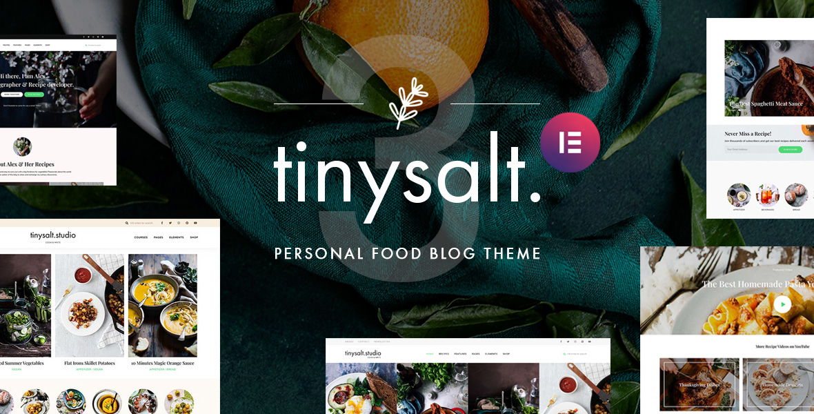 TinySalt - Personal Food Blog WordPress Theme