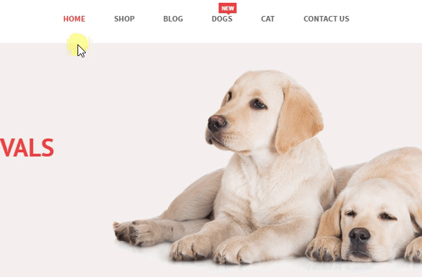 VG Petshop - Creative WooCommerce theme for Pets and Vets - 25